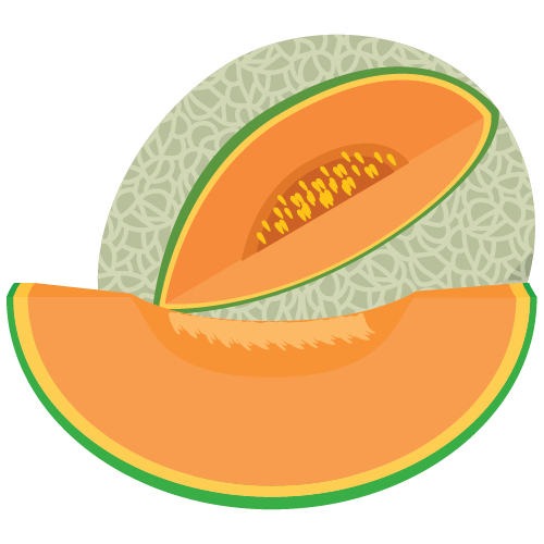 Dưa lưới
